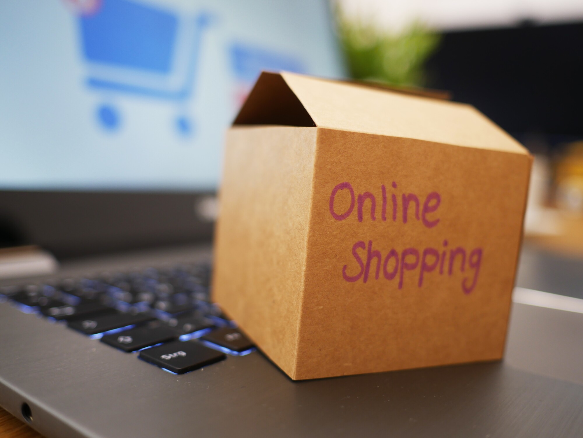online shopping using PayPal